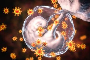 Embryo und Killerzellen